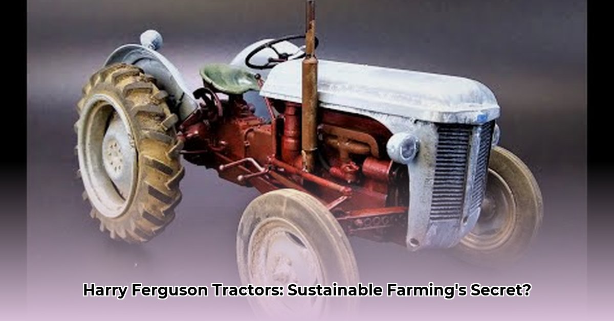 harry-ferguson-tractor-models